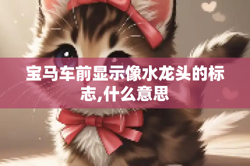 宝马车前显示像水龙头的标志,什么意思