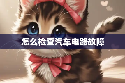 怎么检查汽车电路故障