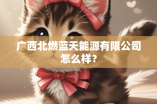 广西北燃蓝天能源有限公司怎么样？