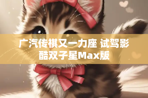 广汽传祺又一力座 试驾影酷双子星Max版