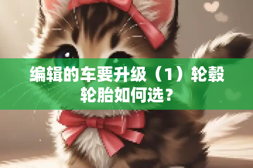 编辑的车要升级（1）轮毂轮胎如何选？