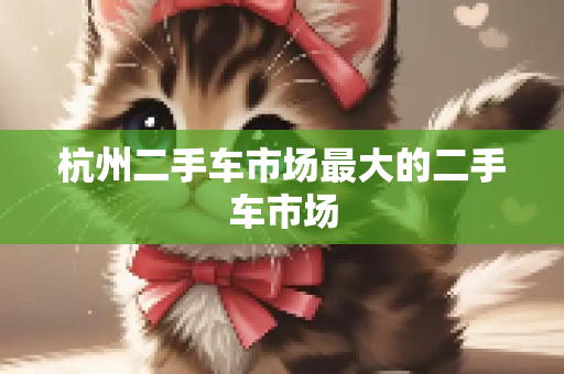 杭州二手车市场最大的二手车市场