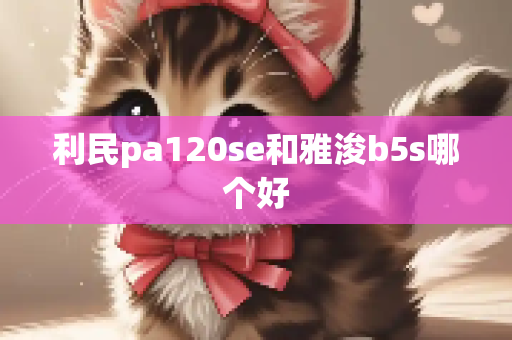 利民pa120se和雅浚b5s哪个好