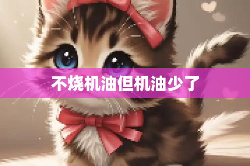 不烧机油但机油少了