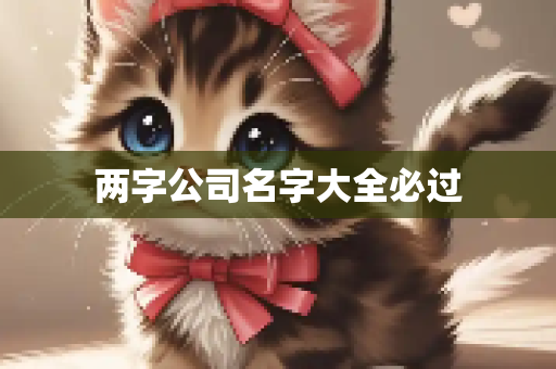 两字公司名字大全必过