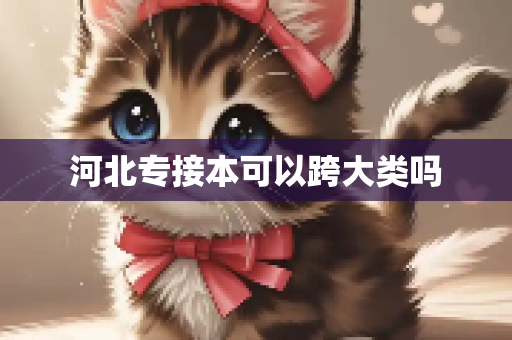 河北专接本可以跨大类吗
