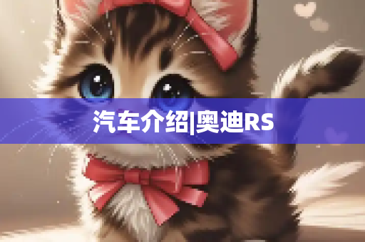 汽车介绍|奥迪RS