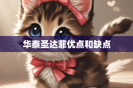 华泰圣达菲优点和缺点