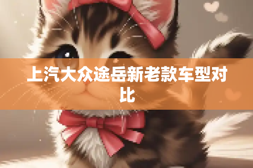 上汽大众途岳新老款车型对比