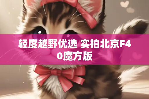 轻度越野优选 实拍北京F40魔方版