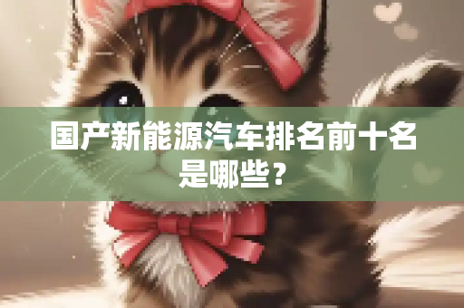国产新能源汽车排名前十名是哪些？