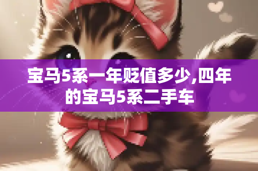 宝马5系一年贬值多少,四年的宝马5系二手车
