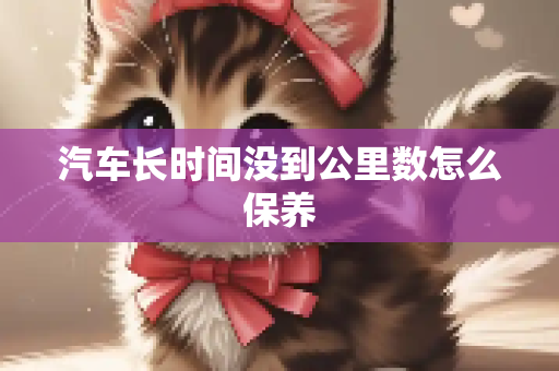 汽车长时间没到公里数怎么保养