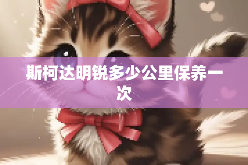 斯柯达明锐多少公里保养一次