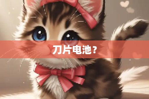 刀片电池？