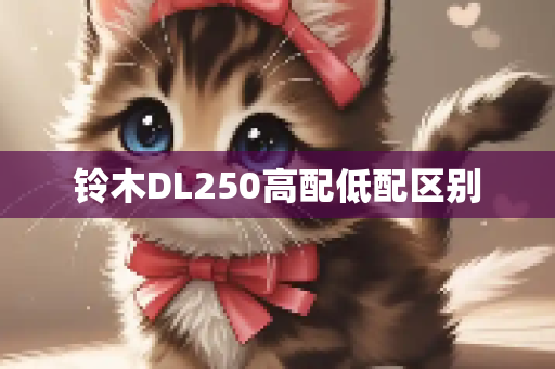 铃木DL250高配低配区别