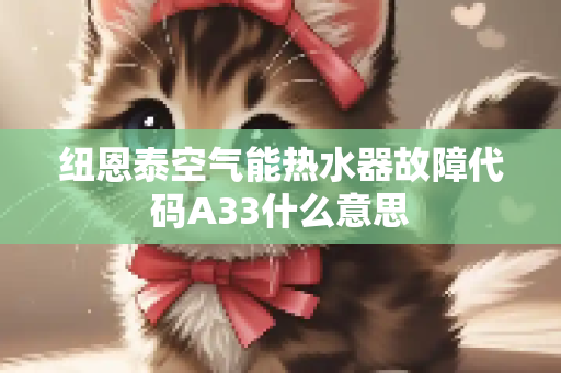 纽恩泰空气能热水器故障代码A33什么意思