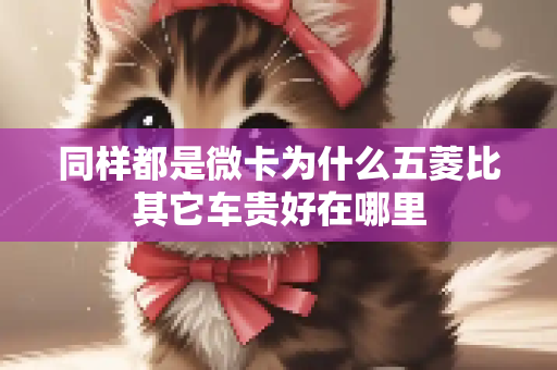 同样都是微卡为什么五菱比其它车贵好在哪里