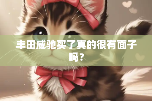 丰田威驰买了真的很有面子吗？
