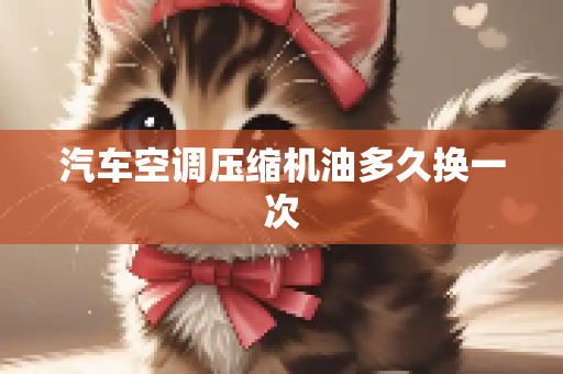 汽车空调压缩机油多久换一次