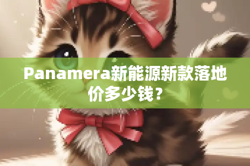 Panamera新能源新款落地价多少钱？