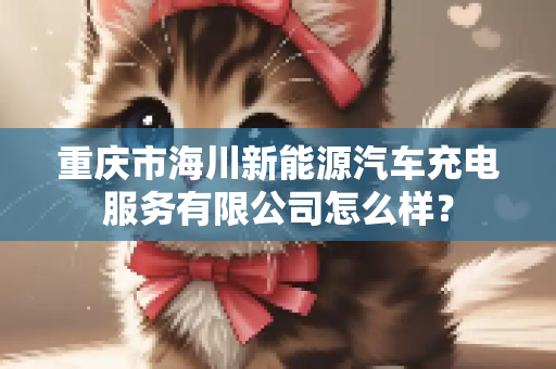 重庆市海川新能源汽车充电服务有限公司怎么样？