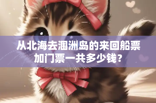 从北海去涠洲岛的来回船票加门票一共多少钱？