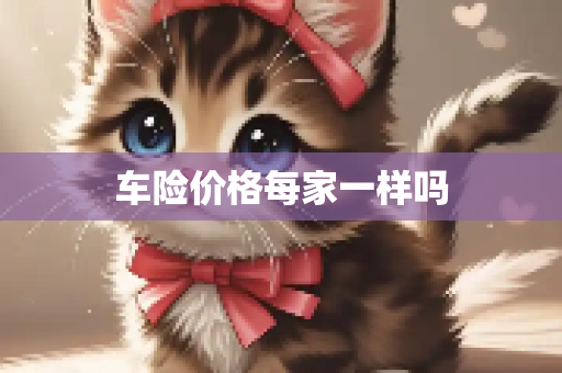 车险价格每家一样吗