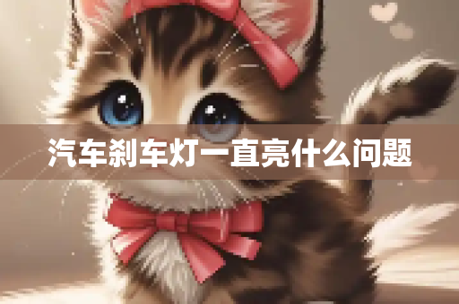 汽车刹车灯一直亮什么问题