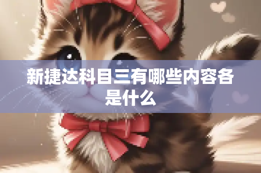 新捷达科目三有哪些内容各是什么