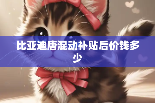 比亚迪唐混动补贴后价钱多少