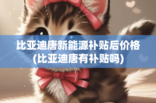 比亚迪唐新能源补贴后价格(比亚迪唐有补贴吗)