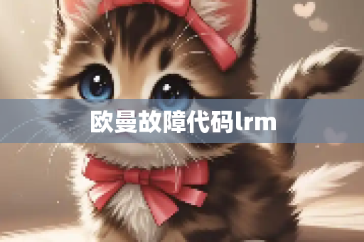 欧曼故障代码lrm