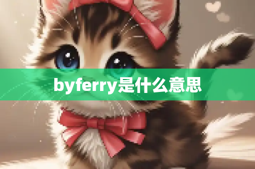byferry是什么意思