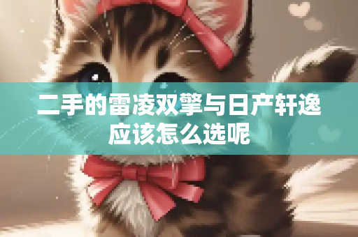 二手的雷凌双擎与日产轩逸应该怎么选呢