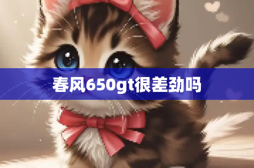vsprin 第418页