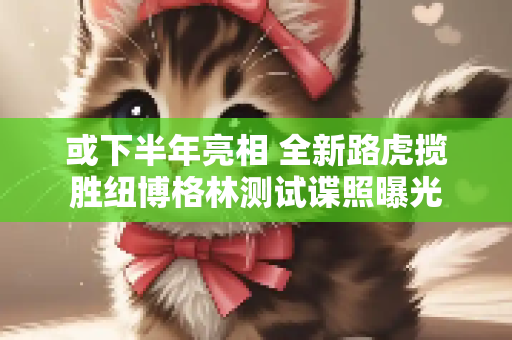 或下半年亮相 全新路虎揽胜纽博格林测试谍照曝光