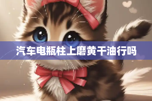 汽车电瓶柱上磨黄干油行吗
