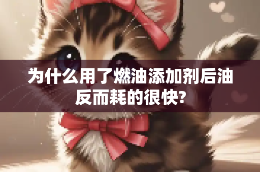 为什么用了燃油添加剂后油反而耗的很快?