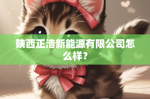 陕西正浩新能源有限公司怎么样？