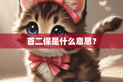 首二保是什么意思？