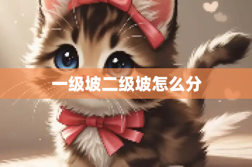 一级坡二级坡怎么分