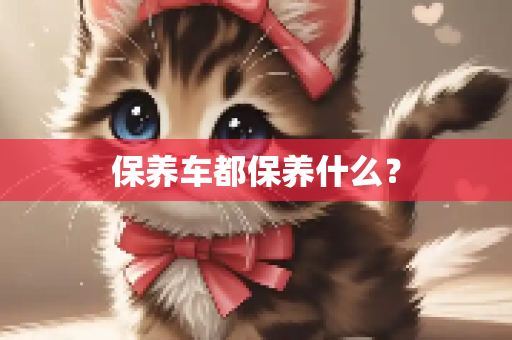 保养车都保养什么？