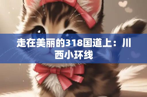 汽车经验