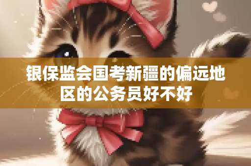 银保监会国考新疆的偏远地区的公务员好不好