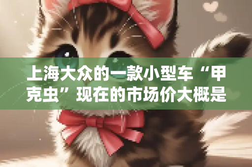 上海大众的一款小型车“甲克虫”现在的市场价大概是多少