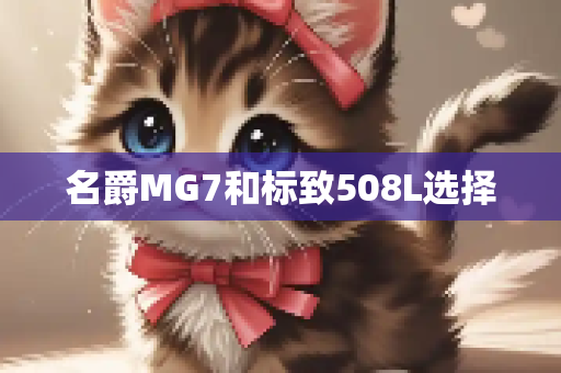 名爵MG7和标致508L选择