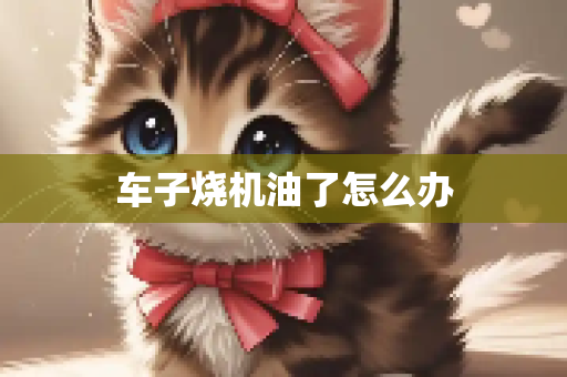 车子烧机油了怎么办