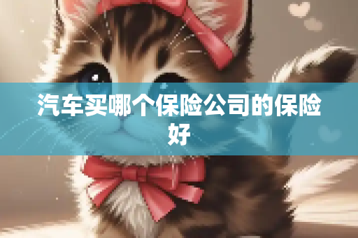 汽车买哪个保险公司的保险好