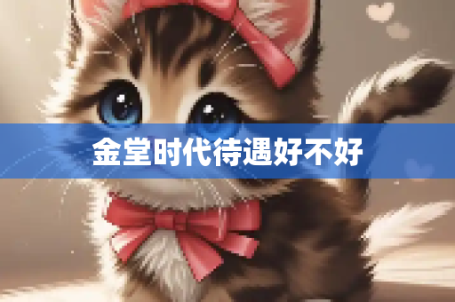 金堂时代待遇好不好